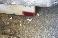 sams-club-vacaville-2